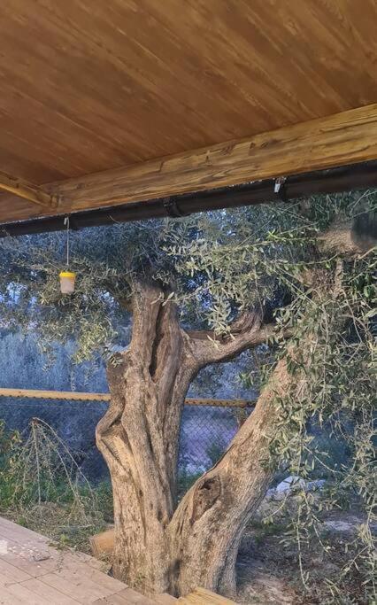 Casaruibella Villa Moratalla  Bagian luar foto