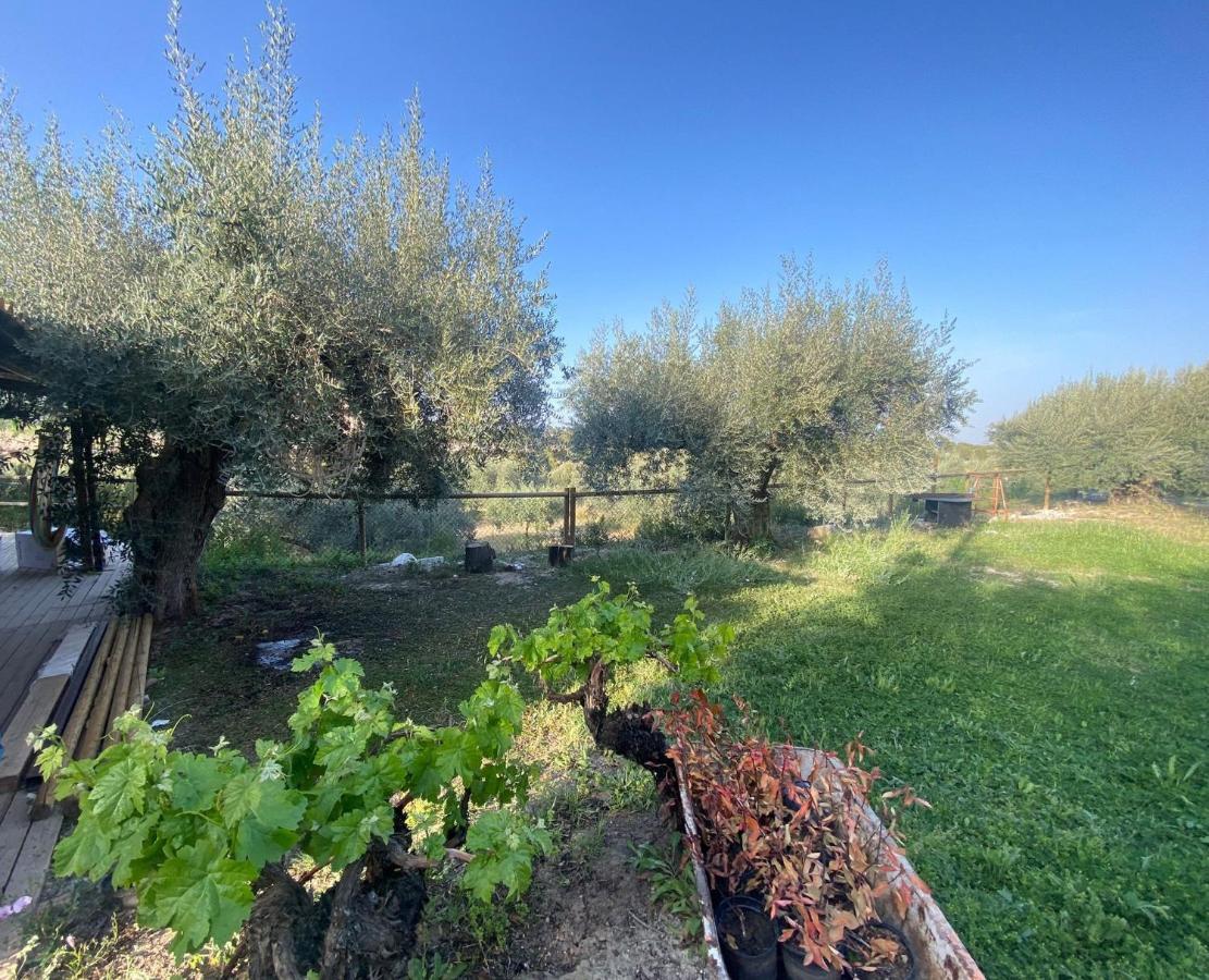 Casaruibella Villa Moratalla  Bagian luar foto
